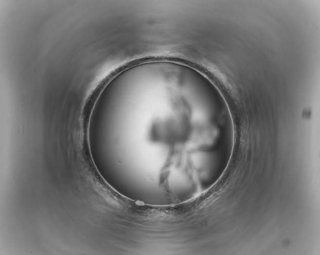 X0000094181270200711020956