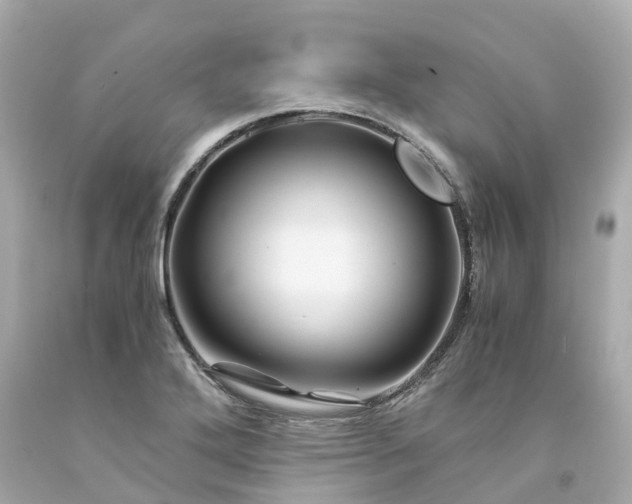 X0000094181272200711020956