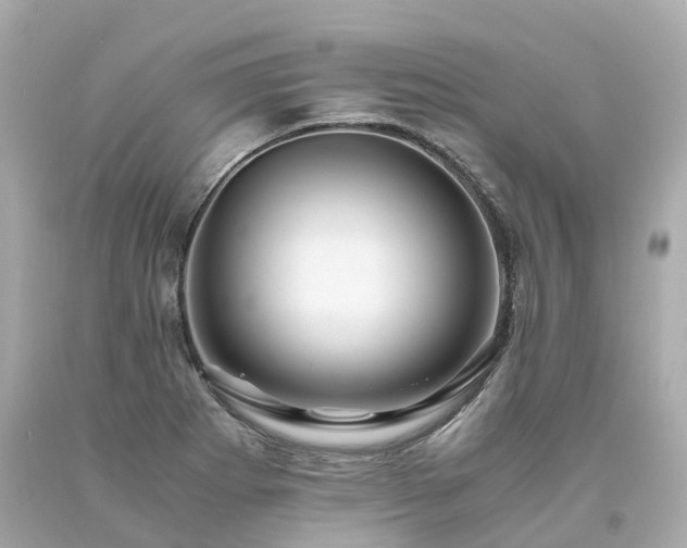 X0000094181273200711020956