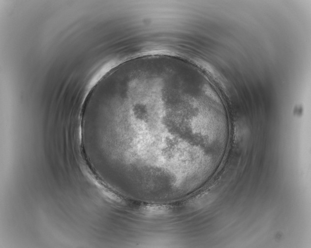 X0000094181274200711020956
