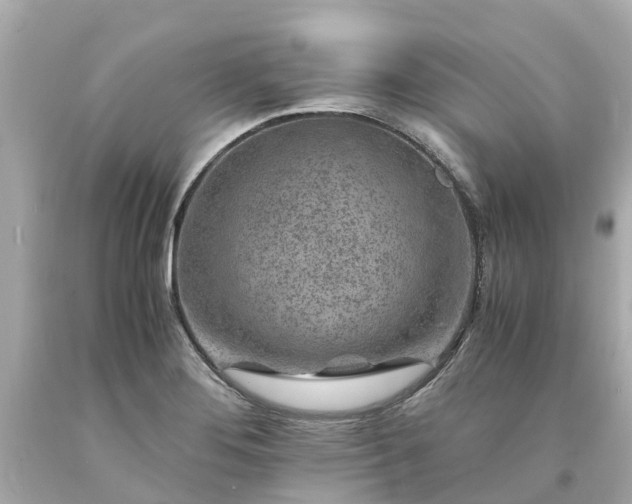 X0000094181276200711020956