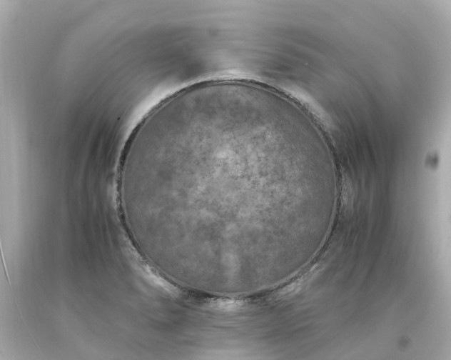 X0000094181278200711020956
