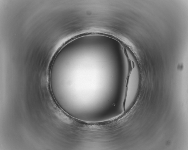 X0000094181280200711020956