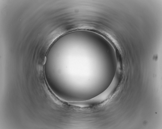 X0000094181281200711020956