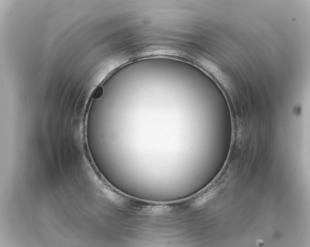 X0000094181282200711020956