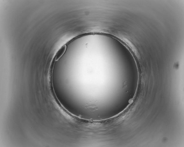 X0000094181285200711020956