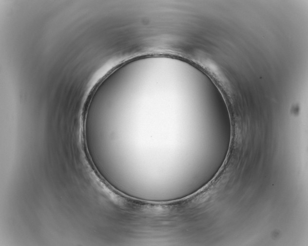 X0000094181286200711020956