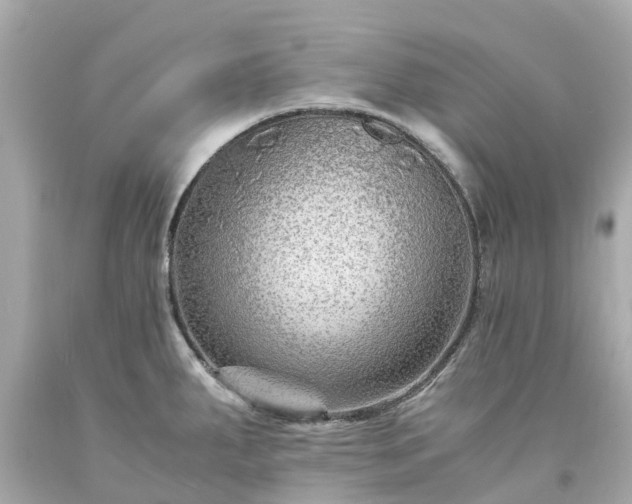 X0000094181287200711020956