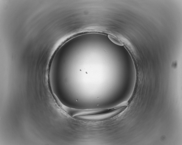 X0000094181288200711020956