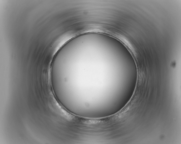 X0000094181290200711020956