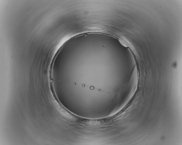 X0000094181291200711020956