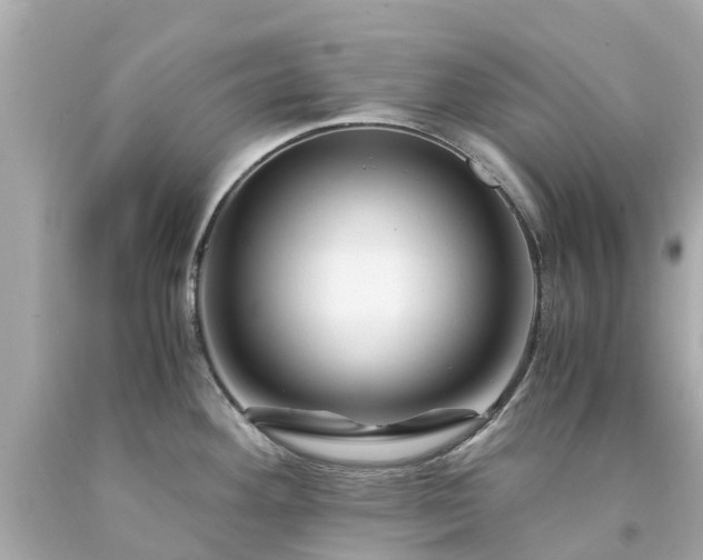 X0000094181292200711020956