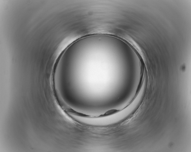 X0000094181293200711020956