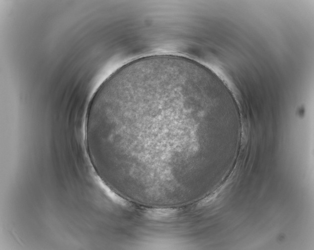 X0000094181294200711020956