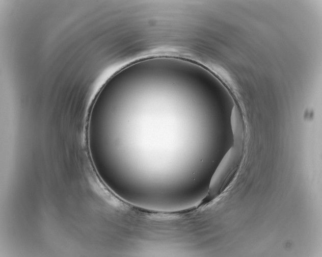 X0000094181296200711020956