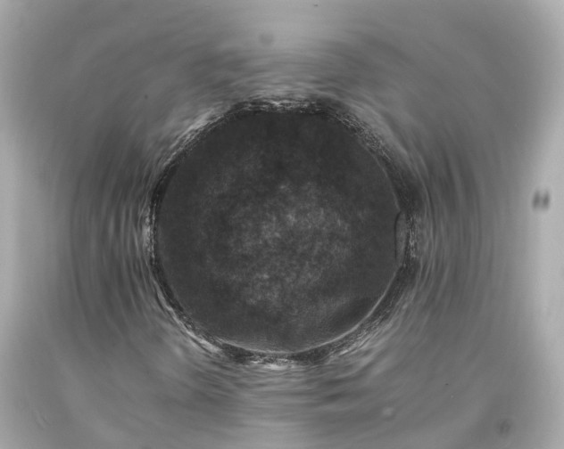 X0000094181298200711020955