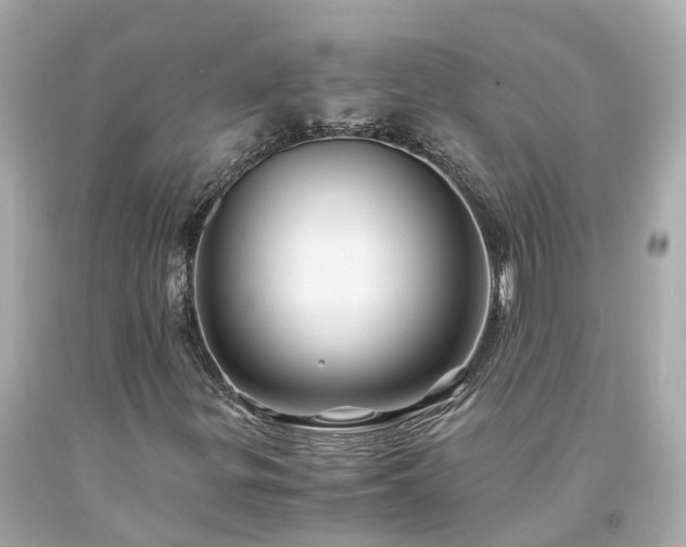 X0000094181299200711020955
