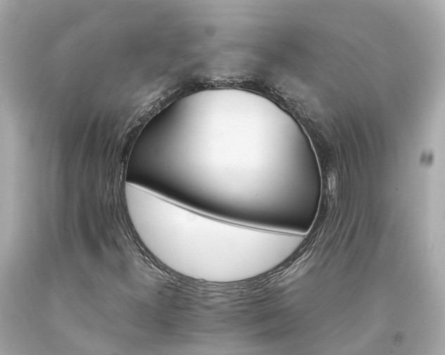 X0000094181300200711020955
