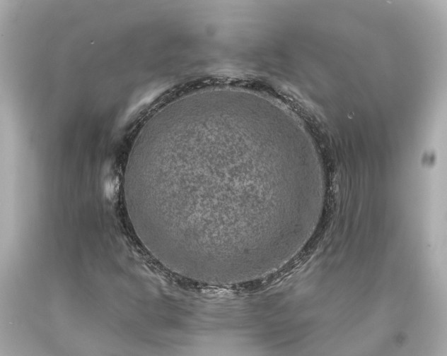 X0000094181302200711020955