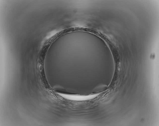 X0000094181303200711020955