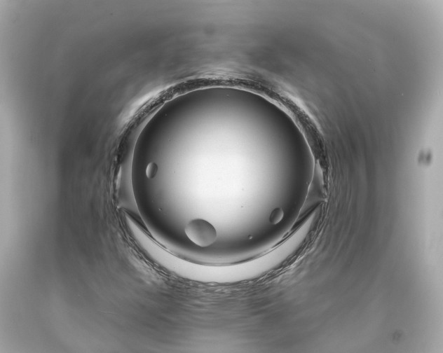 X0000094181304200711020955