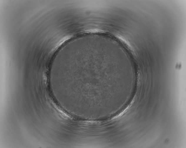 X0000094181305200711020955