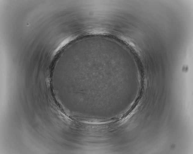 X0000094181306200711020955