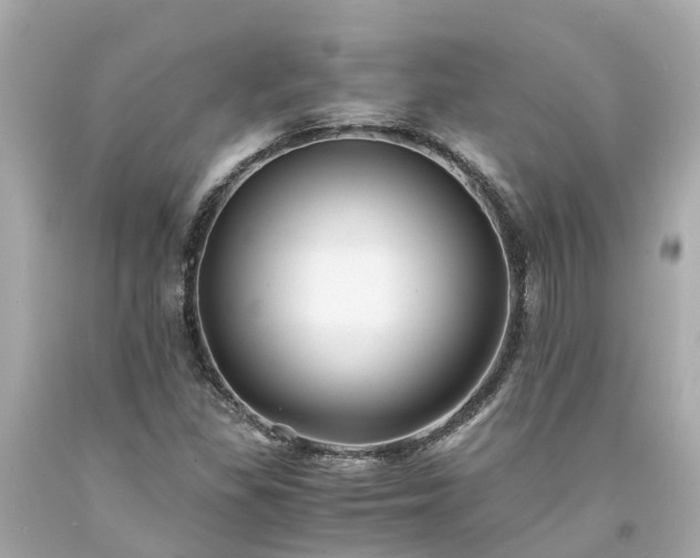X0000094181309200711020955