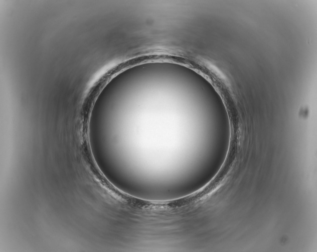 X0000094181310200711020955