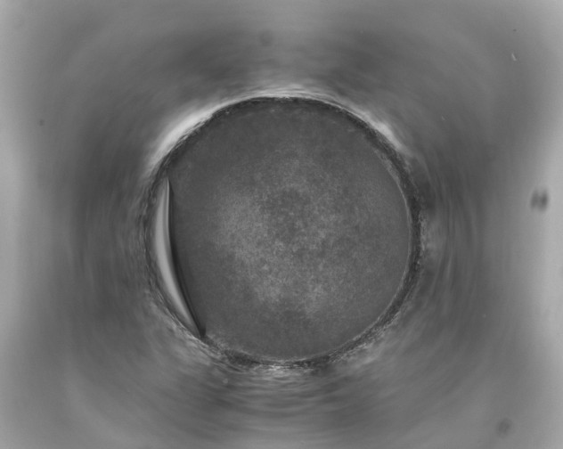 X0000094181311200711020955