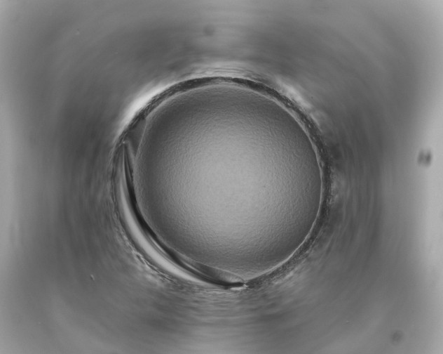 X0000094181312200711020955