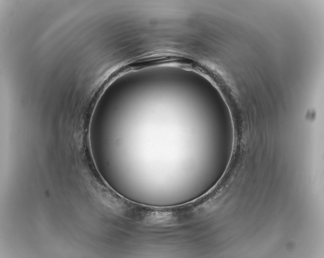 X0000094181313200711020955