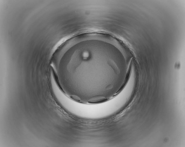 X0000094181314200711020955