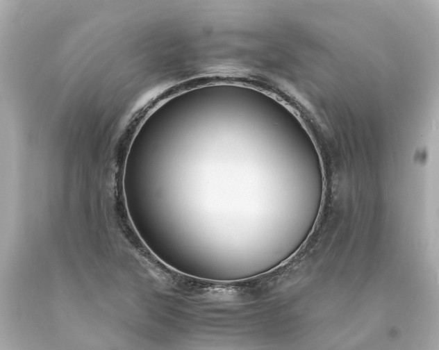 X0000094181315200711020955