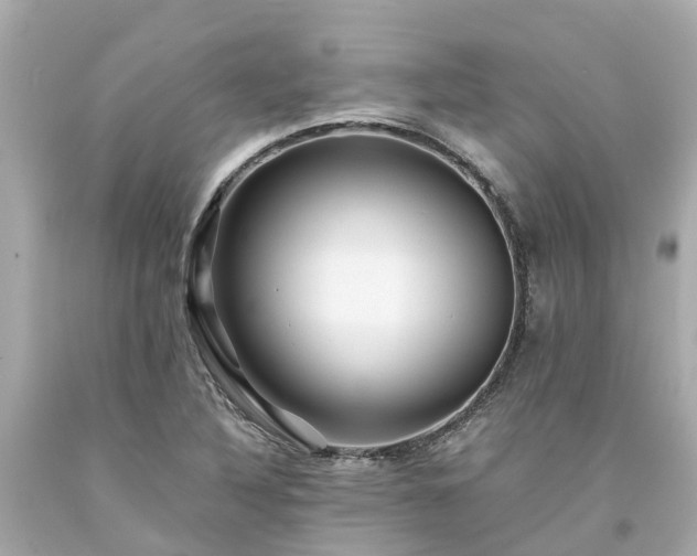 X0000094181316200711020955