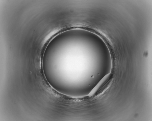X0000094181317200711020955