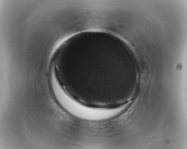 X0000094181319200711020955