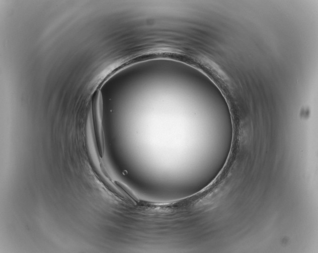 X0000094181321200711020955