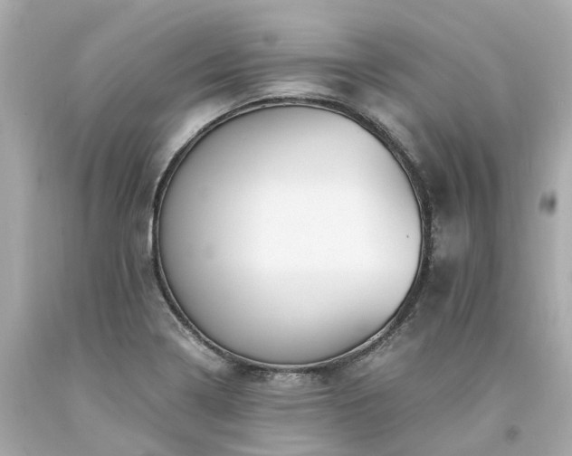 X0000094181322200711020955