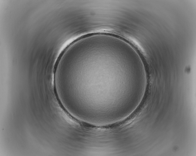 X0000094181324200711020955
