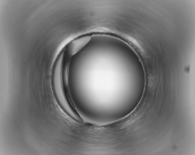X0000094181326200711020956