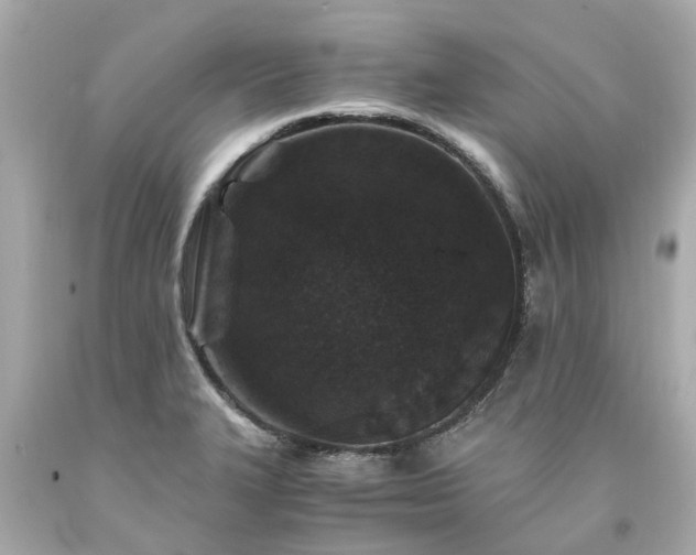 X0000094181327200711020956