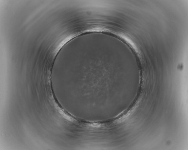 X0000094181329200711020956
