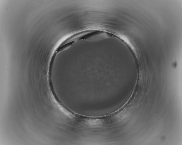 X0000094181331200711020956