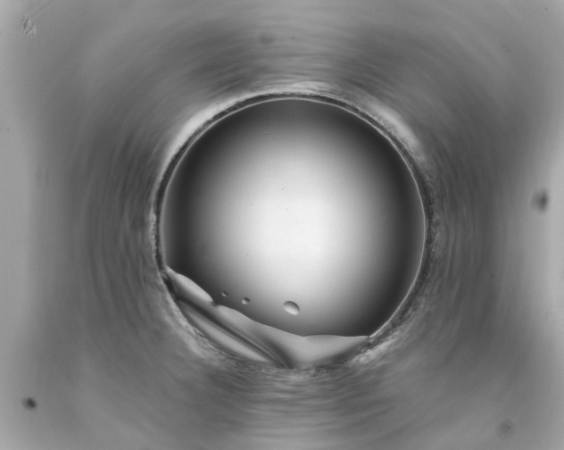 X0000094181332200711020956