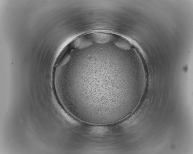 X0000094181333200711020956