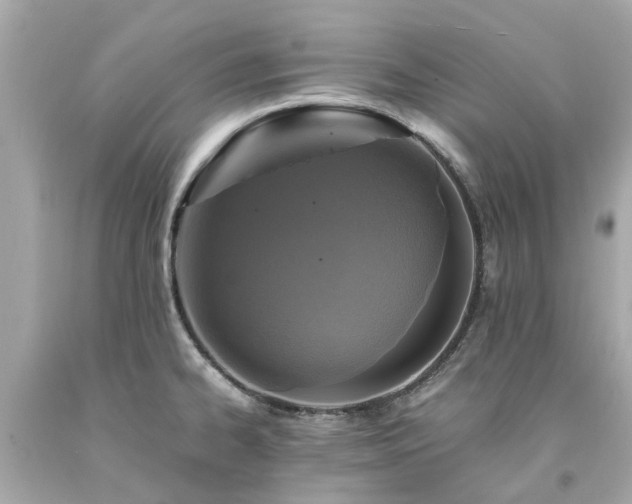 X0000094181334200711020956