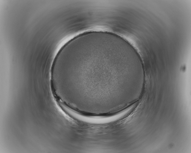 X0000094181335200711020956
