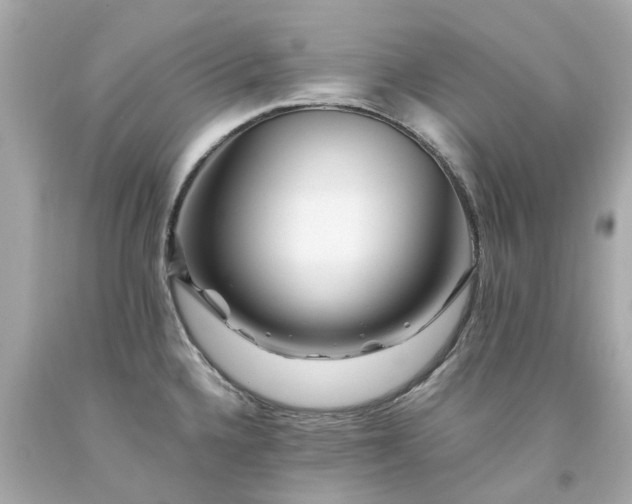 X0000094181336200711020956