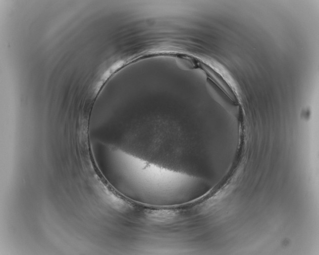 X0000094181337200711020956